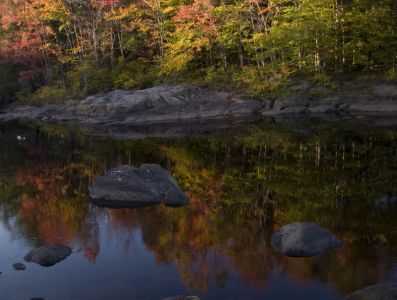 Trees and water