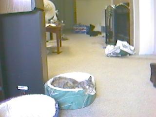 Gail in her own bed for a change
