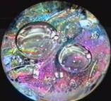Luminescent Rainbow paperweight by Rebecca Stewart
